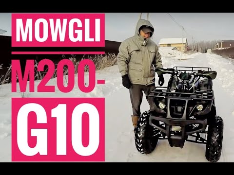 Квадроцикл MOWGLI M200-G10 2018 г. для активных покатушек